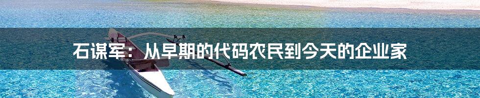 石谋军：从早期的代码农民到今天的企业家