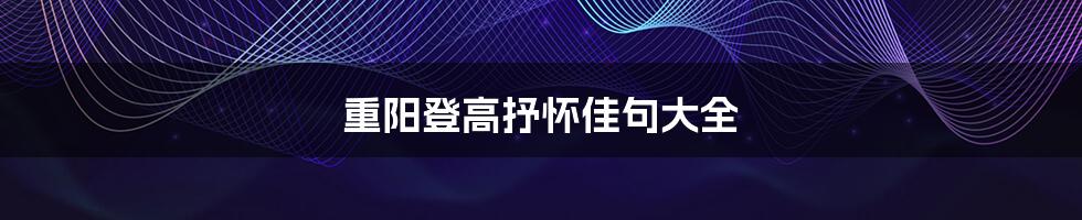 重阳登高抒怀佳句大全