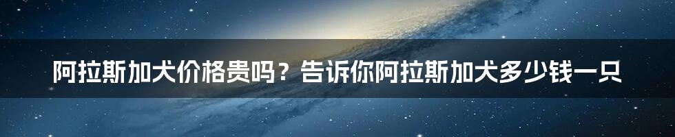 阿拉斯加犬价格贵吗？告诉你阿拉斯加犬多少钱一只