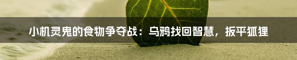 小机灵鬼的食物争夺战：乌鸦找回智慧，扳平狐狸