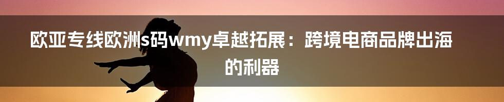 欧亚专线欧洲s码wmy卓越拓展：跨境电商品牌出海的利器