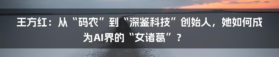 王方红：从“码农”到“深鉴科技”创始人，她如何成为AI界的“女诸葛”？