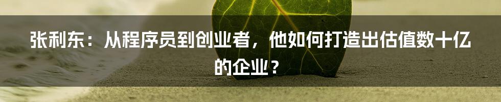 张利东：从程序员到创业者，他如何打造出估值数十亿的企业？