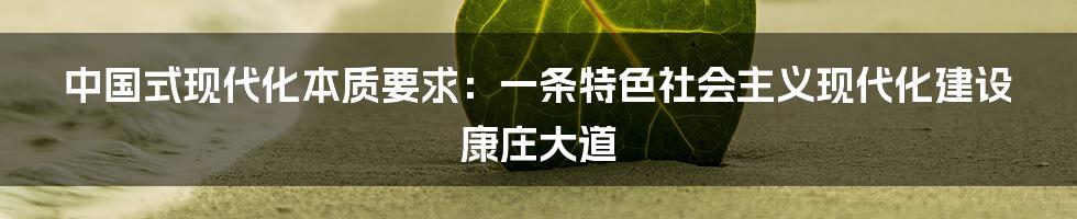 中国式现代化本质要求：一条特色社会主义现代化建设康庄大道