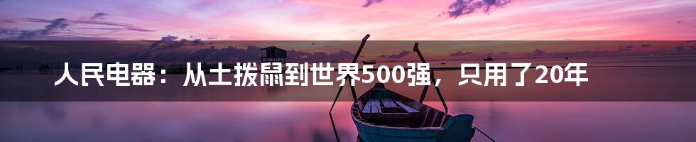 人民电器：从土拨鼠到世界500强，只用了20年