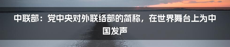 中联部：党中央对外联络部的简称，在世界舞台上为中国发声