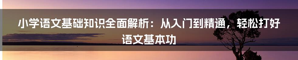 小学语文基础知识全面解析：从入门到精通，轻松打好语文基本功