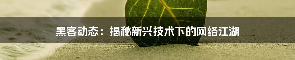 黑客动态：揭秘新兴技术下的网络江湖