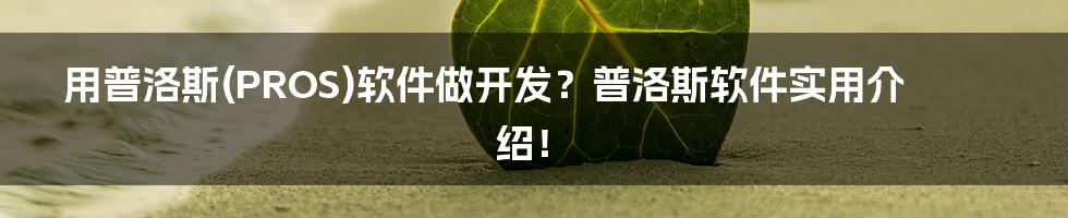 用普洛斯(PROS)软件做开发？普洛斯软件实用介绍！