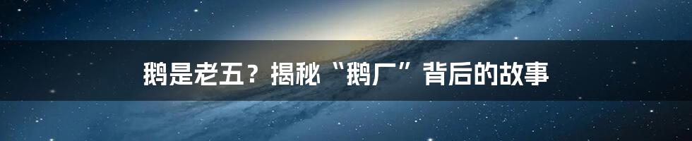 鹅是老五？揭秘“鹅厂”背后的故事