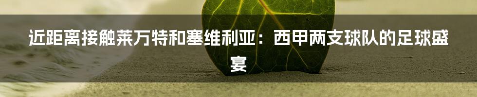 近距离接触莱万特和塞维利亚：西甲两支球队的足球盛宴