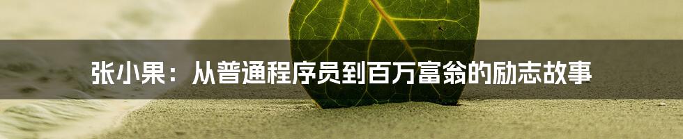 张小果：从普通程序员到百万富翁的励志故事