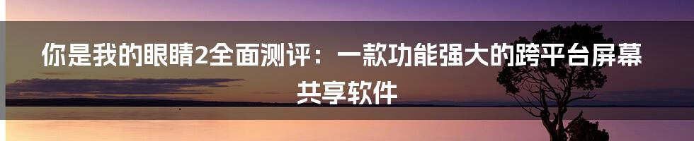 你是我的眼睛2全面测评：一款功能强大的跨平台屏幕共享软件