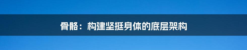 骨骼：构建坚挺身体的底层架构