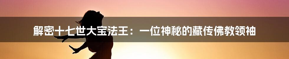 解密十七世大宝法王：一位神秘的藏传佛教领袖