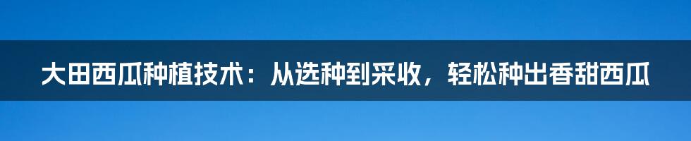 大田西瓜种植技术：从选种到采收，轻松种出香甜西瓜