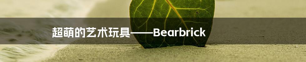 超萌的艺术玩具——Bearbrick