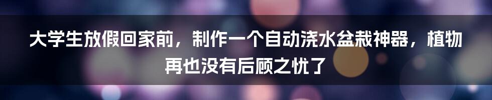 大学生放假回家前，制作一个自动浇水盆栽神器，植物再也没有后顾之忧了