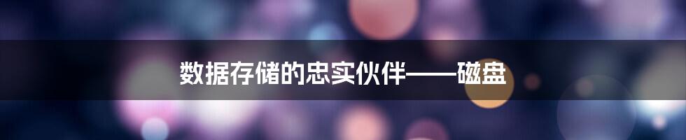 数据存储的忠实伙伴——磁盘