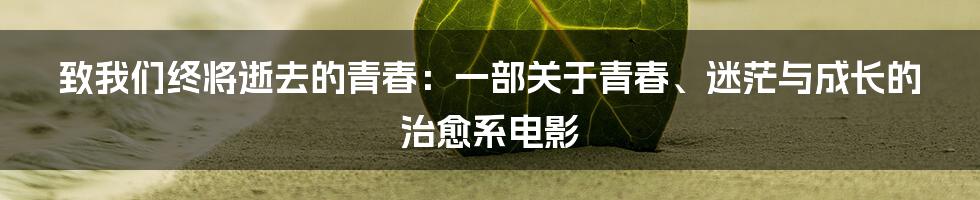 致我们终将逝去的青春：一部关于青春、迷茫与成长的治愈系电影