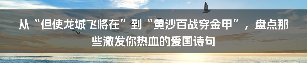 从“但使龙城飞将在”到“黄沙百战穿金甲”，盘点那些激发你热血的爱国诗句