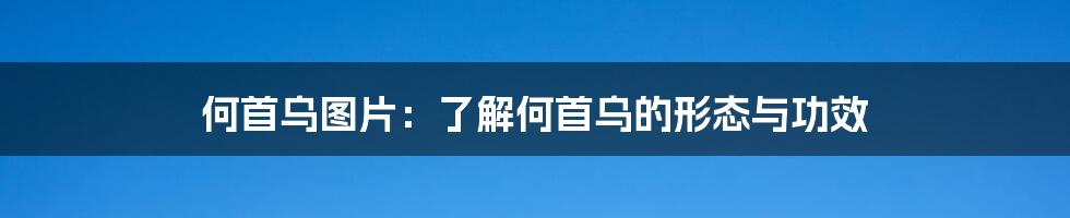 何首乌图片：了解何首乌的形态与功效