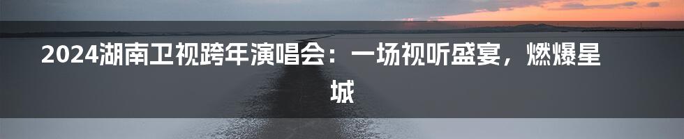 2024湖南卫视跨年演唱会：一场视听盛宴，燃爆星城