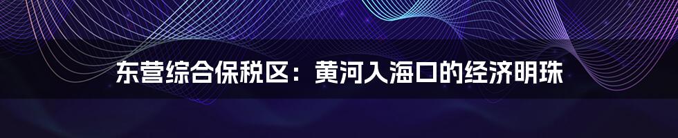 东营综合保税区：黄河入海口的经济明珠