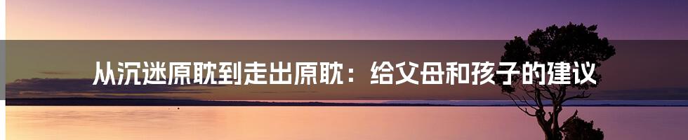 从沉迷原耽到走出原耽：给父母和孩子的建议