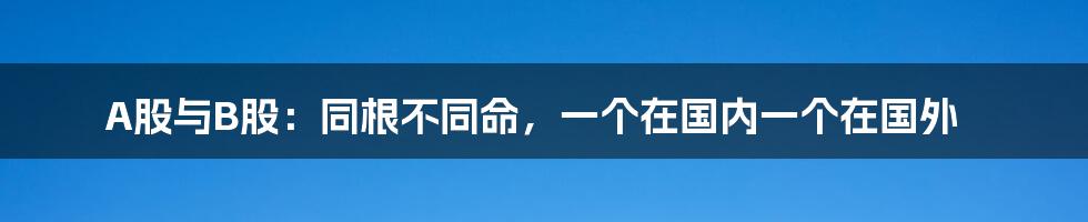 A股与B股：同根不同命，一个在国内一个在国外