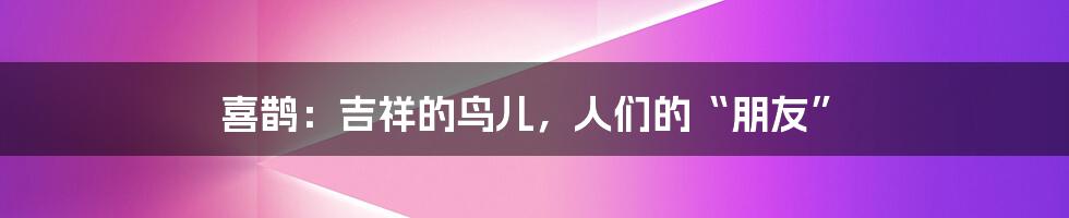 喜鹊：吉祥的鸟儿，人们的“朋友”