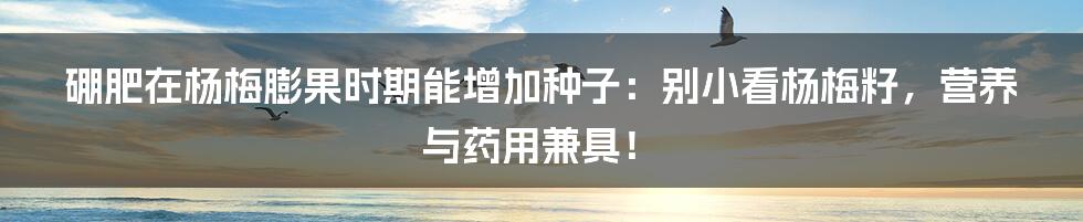 硼肥在杨梅膨果时期能增加种子：别小看杨梅籽，营养与药用兼具！