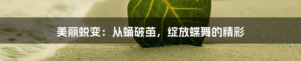 美丽蜕变：从蛹破茧，绽放蝶舞的精彩