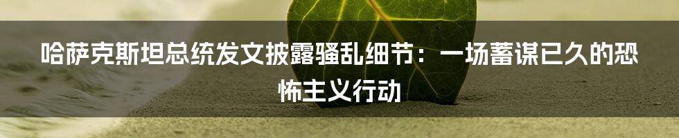 哈萨克斯坦总统发文披露骚乱细节：一场蓄谋已久的恐怖主义行动