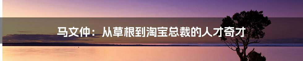 马文仲：从草根到淘宝总裁的人才奇才