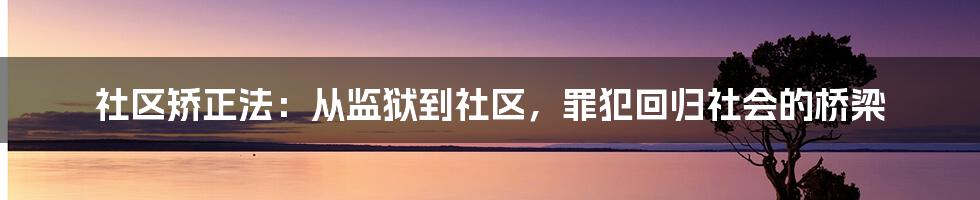 社区矫正法：从监狱到社区，罪犯回归社会的桥梁