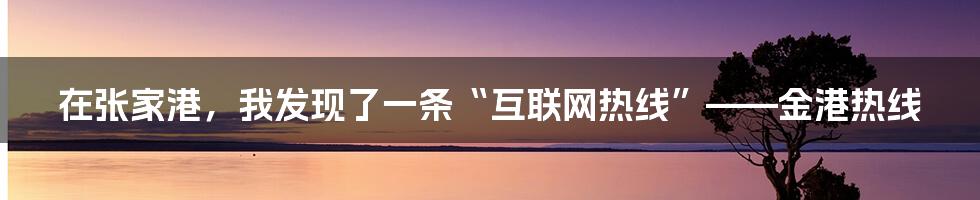 在张家港，我发现了一条“互联网热线”——金港热线