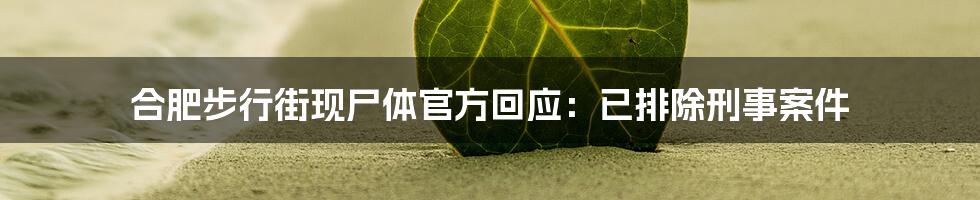 合肥步行街现尸体官方回应：已排除刑事案件