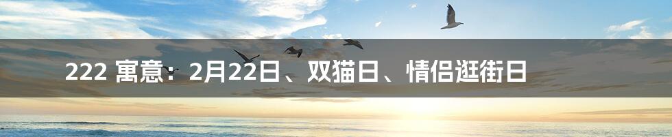 222 寓意：2月22日、双猫日、情侣逛街日