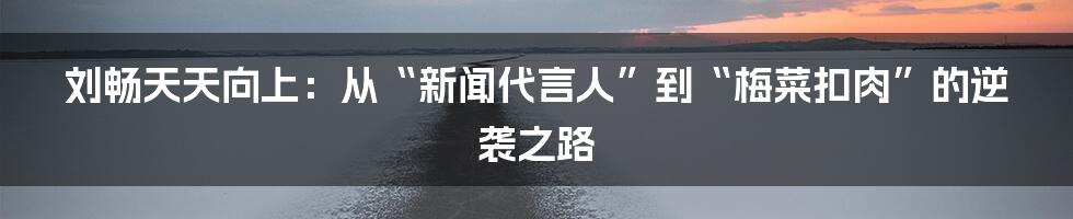 刘畅天天向上：从“新闻代言人”到“梅菜扣肉”的逆袭之路