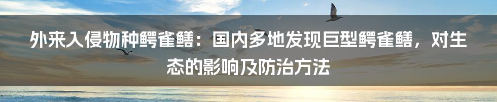 外来入侵物种鳄雀鳝：国内多地发现巨型鳄雀鳝，对生态的影响及防治方法