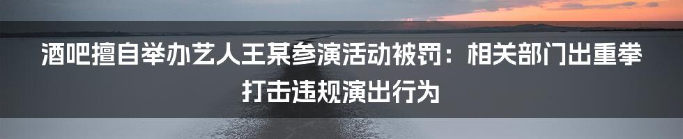 酒吧擅自举办艺人王某参演活动被罚：相关部门出重拳打击违规演出行为