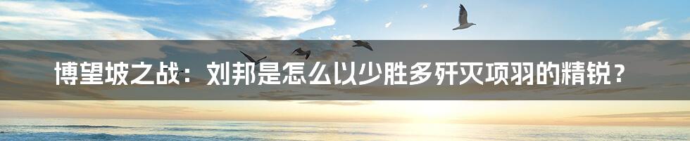 博望坡之战：刘邦是怎么以少胜多歼灭项羽的精锐？