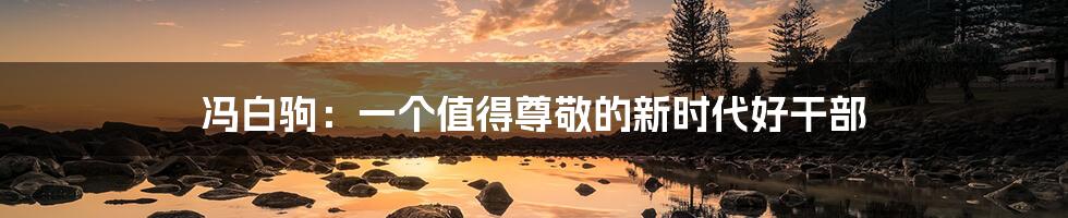 冯白驹：一个值得尊敬的新时代好干部