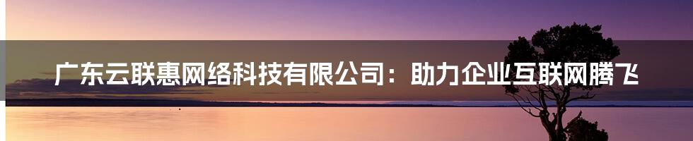 广东云联惠网络科技有限公司：助力企业互联网腾飞