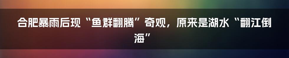 合肥暴雨后现“鱼群翻腾”奇观，原来是湖水“翻江倒海”