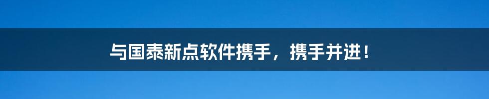 与国泰新点软件携手，携手并进！