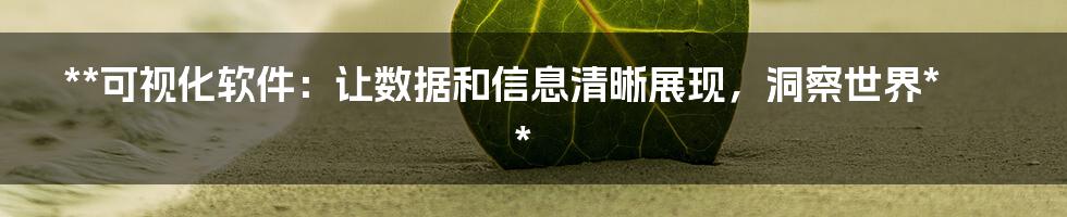 **可视化软件：让数据和信息清晰展现，洞察世界**