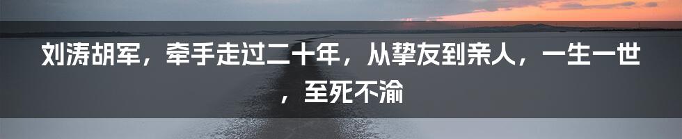 刘涛胡军，牵手走过二十年，从挚友到亲人，一生一世，至死不渝