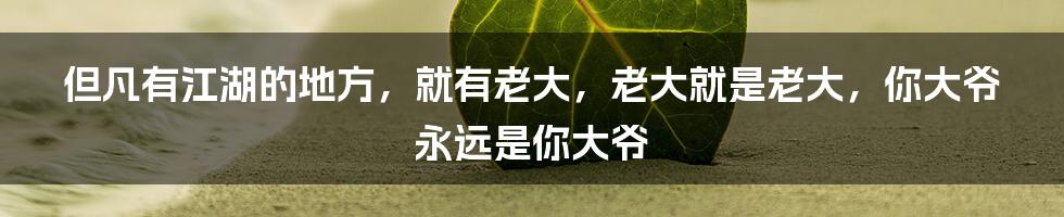 但凡有江湖的地方，就有老大，老大就是老大，你大爷永远是你大爷